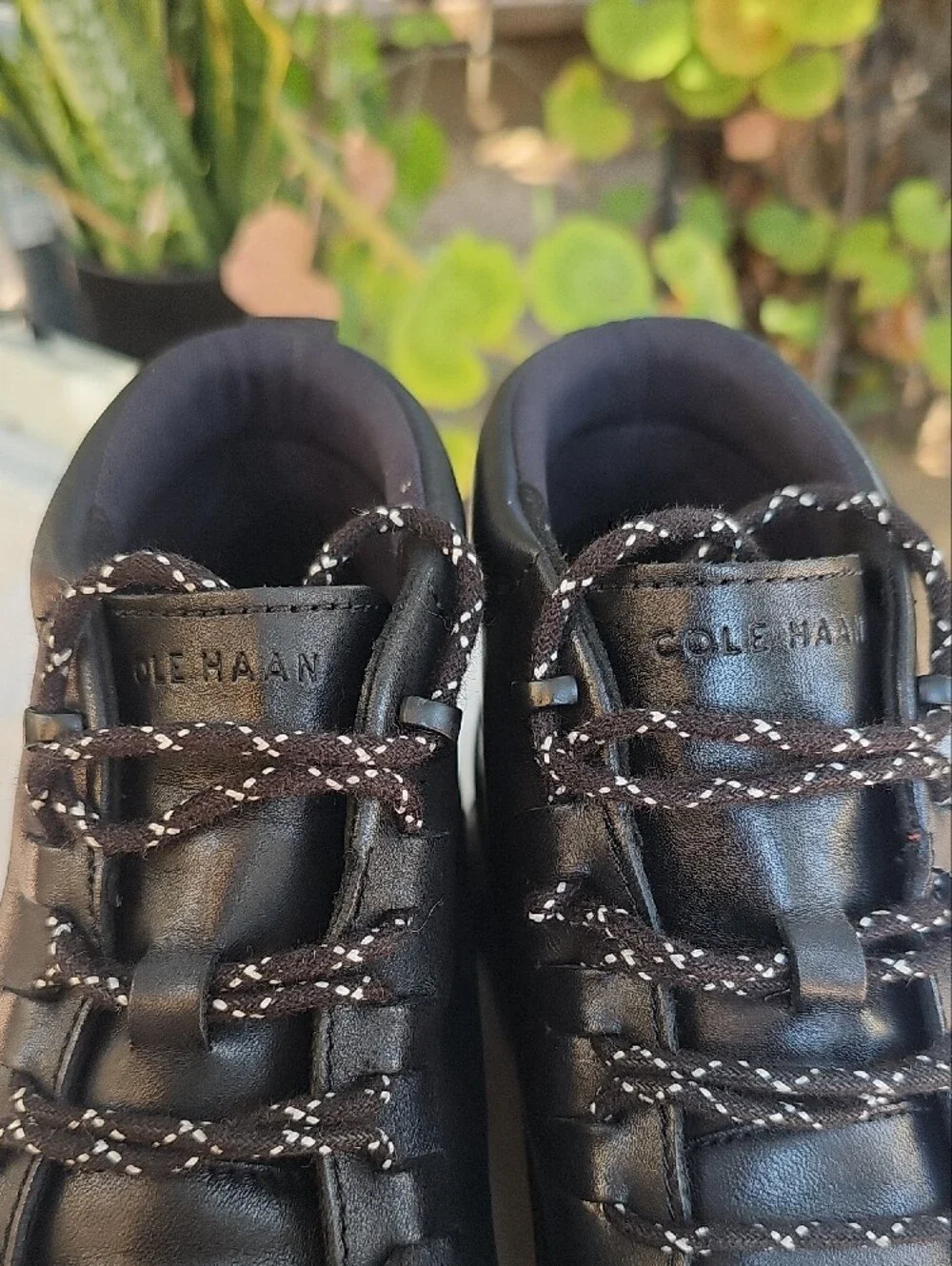 Cole Haan Black Leather Chukka Boots with Tan Accents